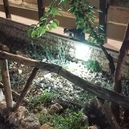 Uria Monolocali Con E Senza Angolo Cottura 3*